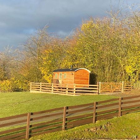 The Snug At Coed Y Gaer Villa Oswestry Exteriör bild